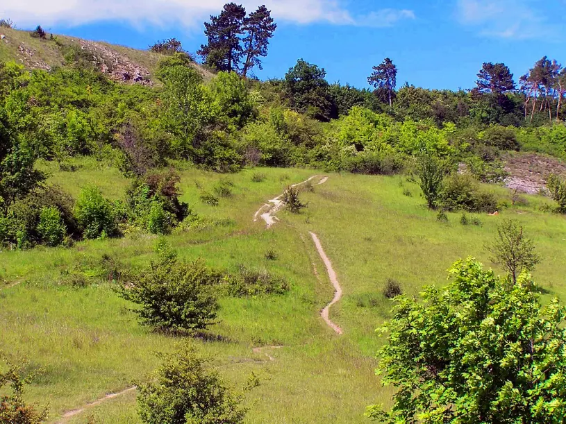 Prokopské údolí: Zelená oáza ve velkoměstě