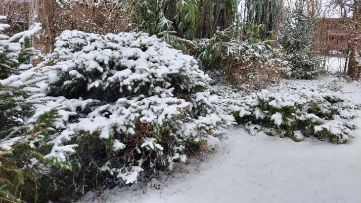 Bílá peřina na zahradě. Využijte sníh ve svůj prospěch