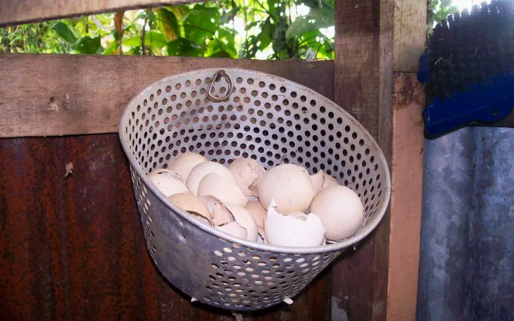 Vaječné skořápky