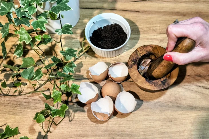 Skořápky od vajec jako hnojivo