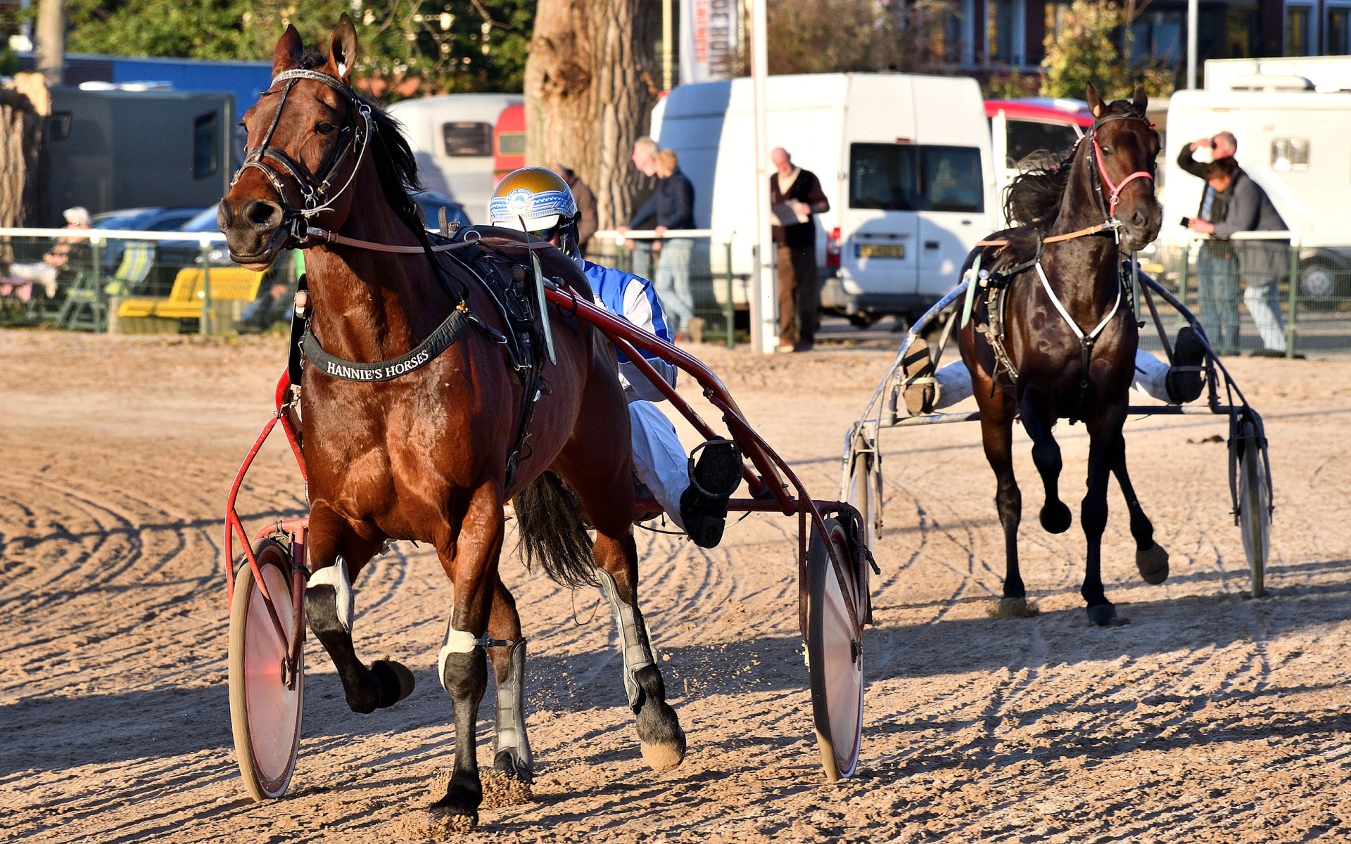 Kam vyrazit o víkendu 24.–25. května 2025? 8 skvělých akcí zdarma po celé ČR