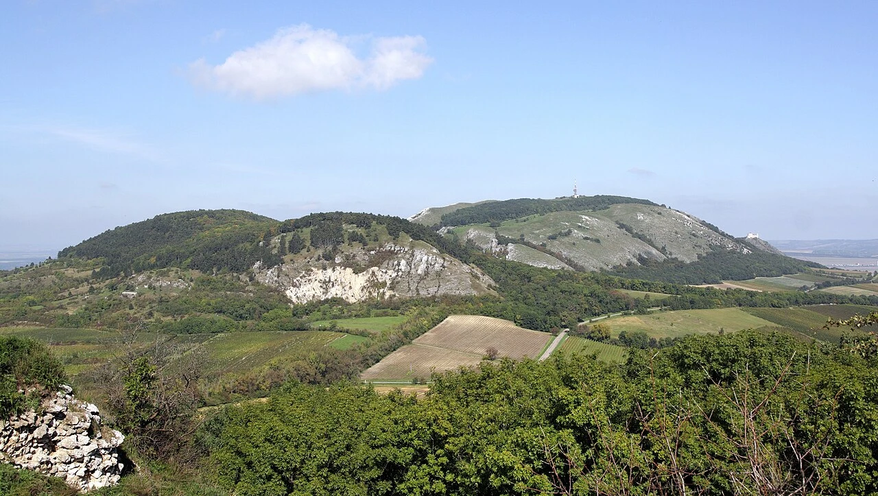 Pavlovské vrchy