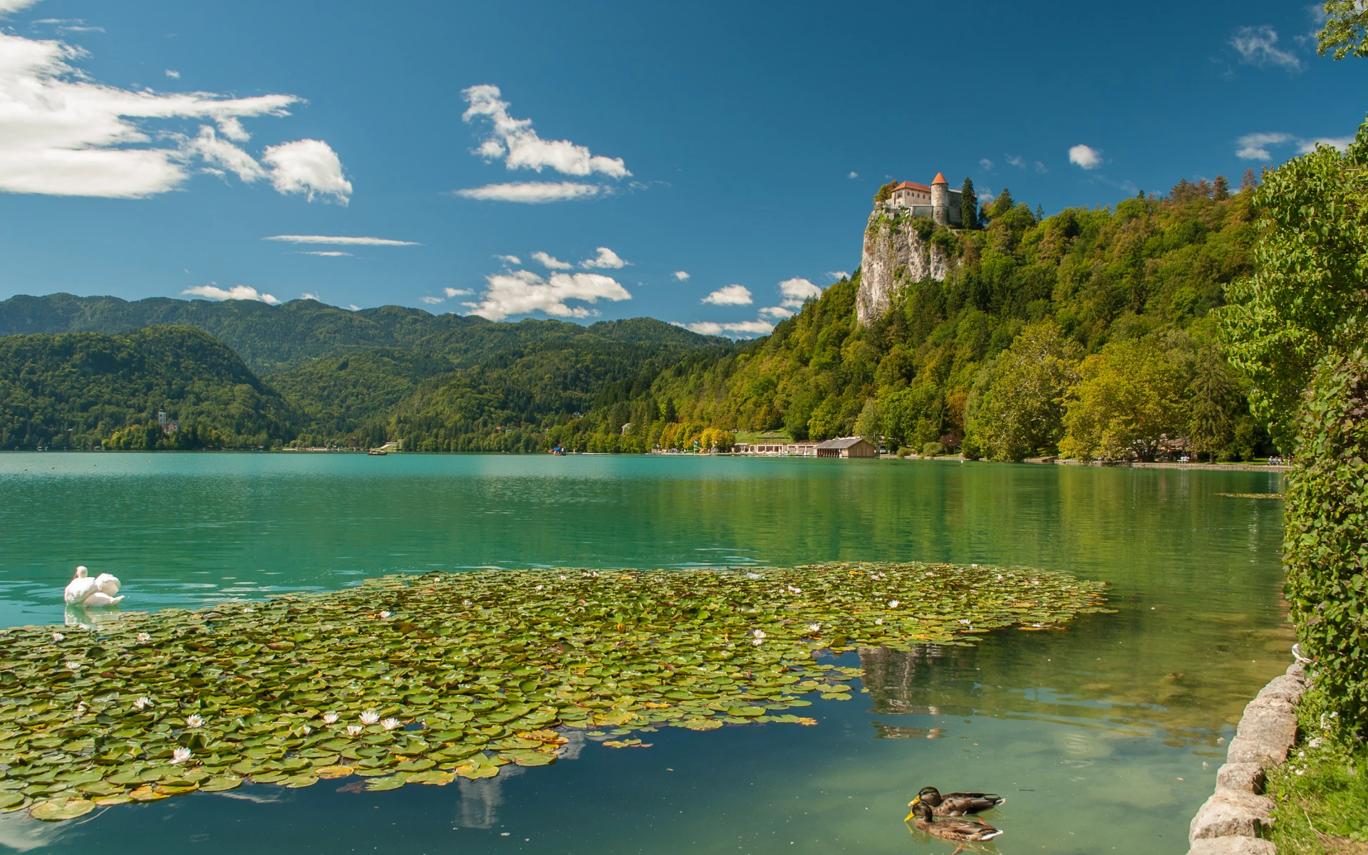 Cestou do Chorvatska: 6 kouzelných zastávek, které promění cestu v zážitek