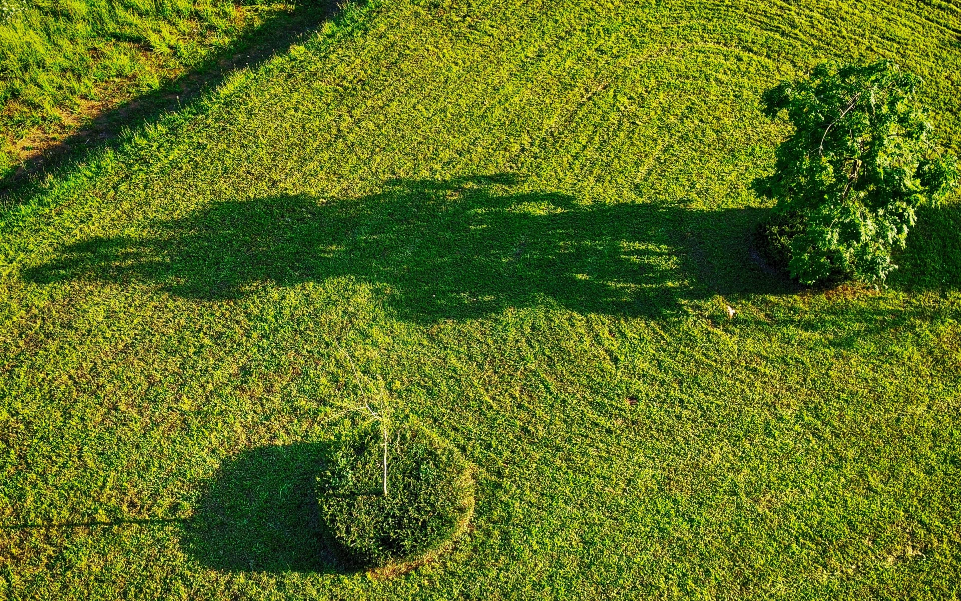 Jak zachránit trávník spálený od slunce? Tyto kroky vám pomohou