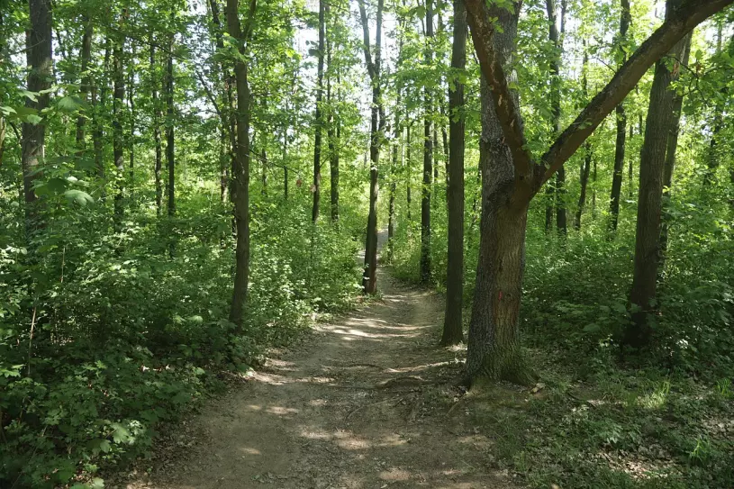 Prokopské údolí: Zelená oáza ve velkoměstě