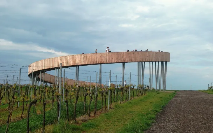 Stezka nad vinohrady