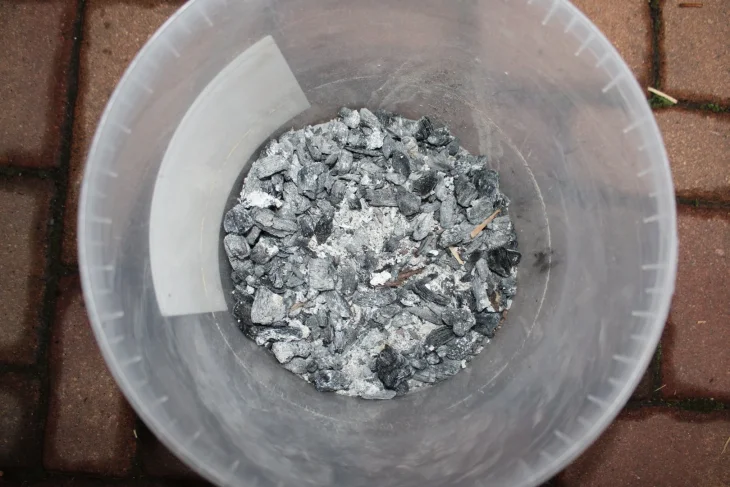 Popel jako hnojivo k růžím