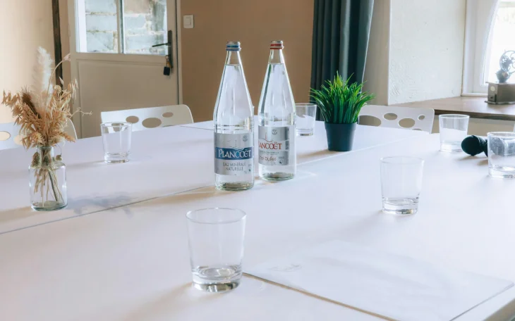 Jak využít perlivou vodu v domácnosti