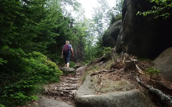 Broumovské stěny, Dobytčí stezka