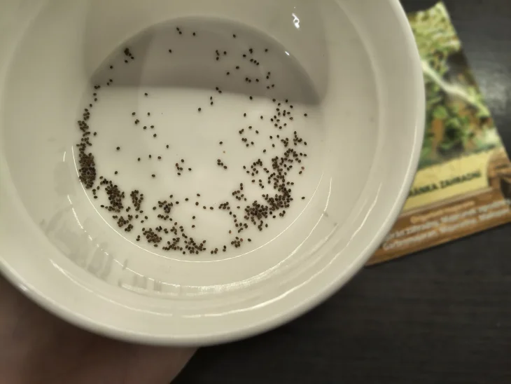 Semena majoránky zahradní Semena majoránky zahradní